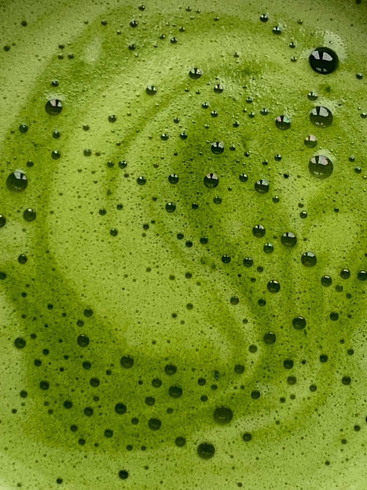 Close-up texture of freshly whisked matcha
