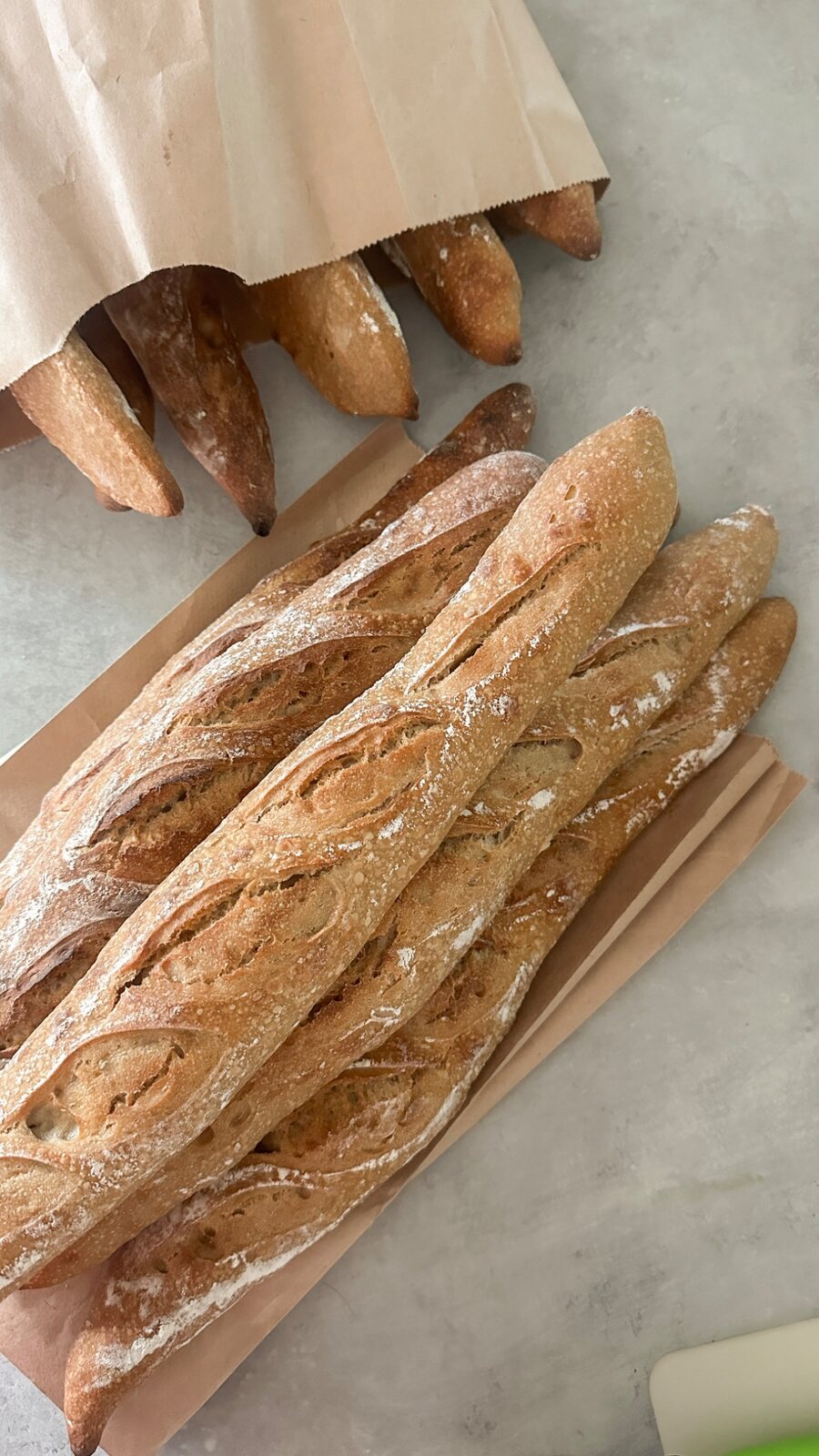 Fresh baguettes arranged across a bakery work surface